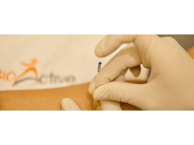 PhysioActive