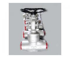 LF2 Carbon Steel Forged Globe Valve, API 602, 2 Inch, 2500 LB